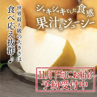 DS-10あたご梨（５ｋｇ）