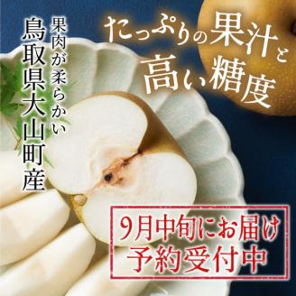 【先行予約】DS-04秋甘泉梨（５ｋｇ）