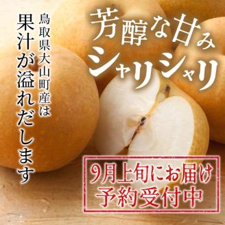 【先行予約】DS-03新甘泉梨（５ｋｇ）