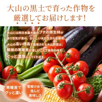 MS-02新鮮朝採れ野菜セット