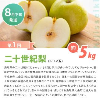 DS-11梨の食べ比べ頒布会