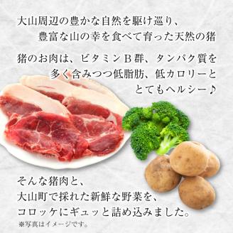 GB-23　大山いのコロ（塩こしょう味）