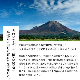 DS-09化粧箱入り王秋梨（３玉入り２ｋｇ）