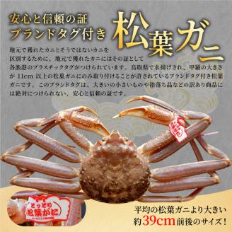 OM-26ブランドタグ付生松葉ガニ（特大約１ｋｇ）