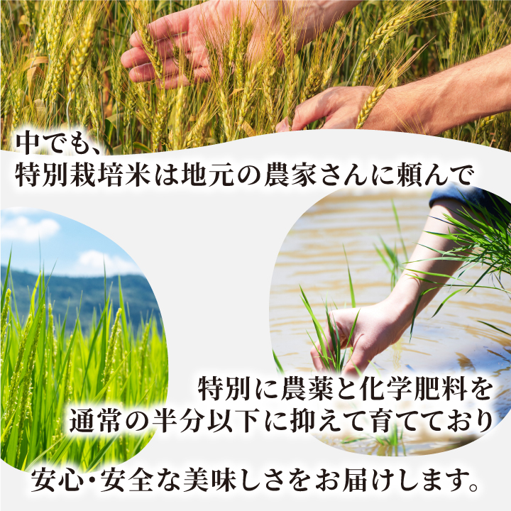 MR-10　減農薬・減化学肥料　特別栽培米こしひかり　3kg（白米）減農薬・減化学肥料　特別栽培米こしひかり　3kg（白米）