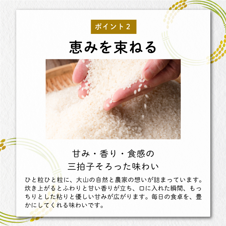 ON-02 大山岡田農園のにじのきらめき10kg