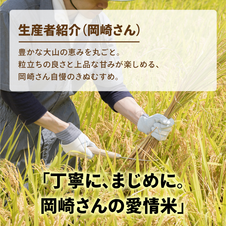 OJ-01 大山の自然が育んだ岡崎さんのきぬむすめ30kg【玄米】