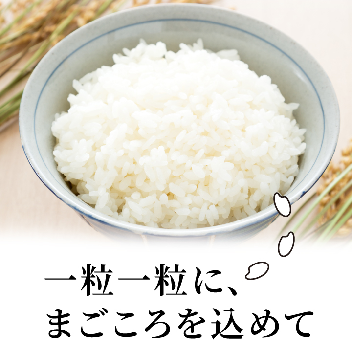 MR-20　諸遊農場のきぬむすめ10kg