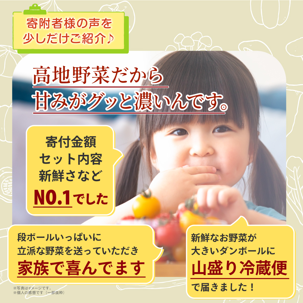 MS-03新鮮朝採れ野菜　お手頃セット頒布会（計3回）