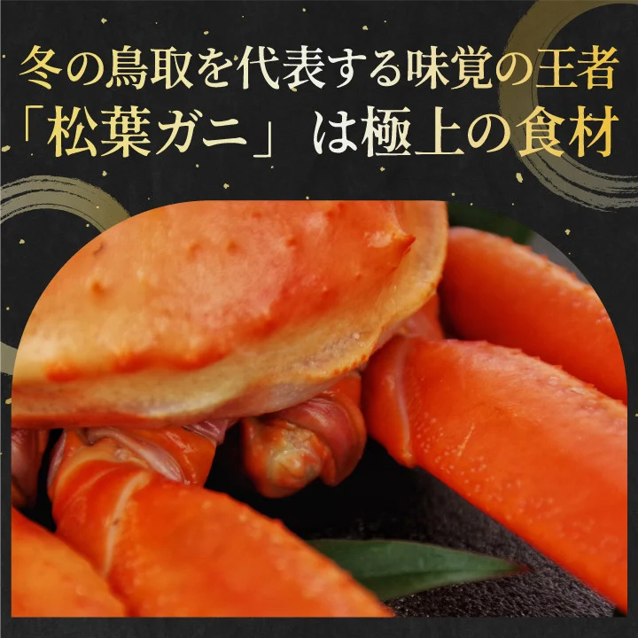 OM-31　訳あり足1本折れボイル松葉ガニ（600～700gを1枚）【土日到着限定】【11月中旬以降発送】