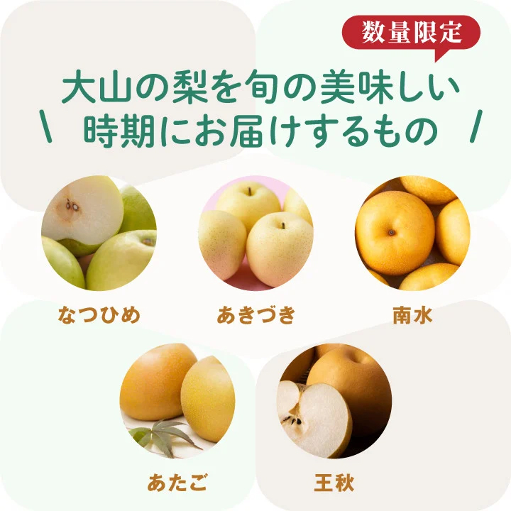 DS-26　大山の自然が育てた季節の梨 5kg