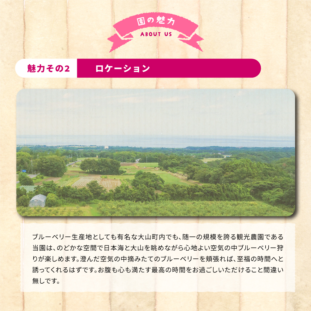  KB-02　【期間限定】大山のめぐみ摘みたてブルーベリー　1750ｇ