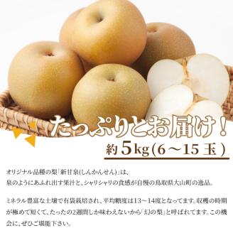 【先行予約】DS-03新甘泉梨（５ｋｇ）