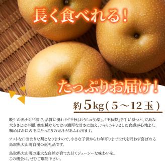 DS-08王秋梨（５ｋｇ）