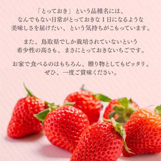 MI-01　【希少品種・鳥取県限定ブランド】とっておき苺（約500g）【2025年1月以降発送】