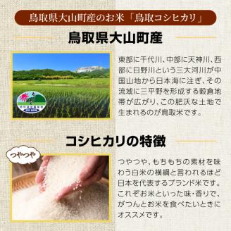 MR-02　大山恵み米粉・玄米米粉 セット（500ｇ×2）