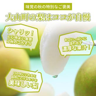 DS-25　訳あり梨10kg