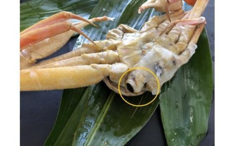 OM-13-2　[冷凍]＜年始お届け＞訳あり松葉ガニ2kg詰め合わせ