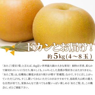 DS-10あたご梨（５ｋｇ）