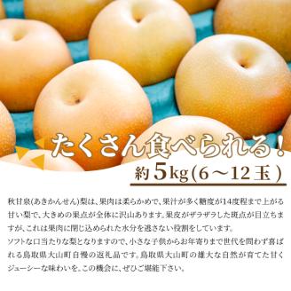 【先行予約】DS-04秋甘泉梨（５ｋｇ）