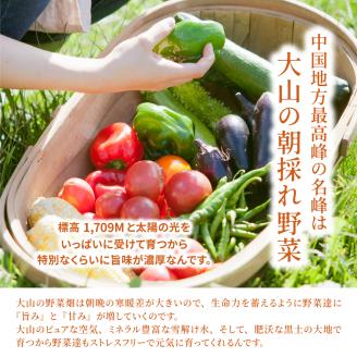 MS-02新鮮朝採れ野菜セット
