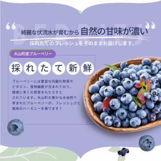 MS-32新鮮生ブルーベリー１ｋｇ（７月採れ）