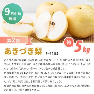 DS-11梨の食べ比べ頒布会