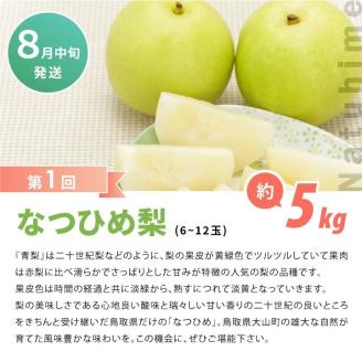 【先行予約】DS-23 梨食べ比べ定期便（2回コース）