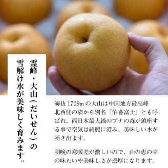 DS-09化粧箱入り王秋梨（３玉入り２ｋｇ）