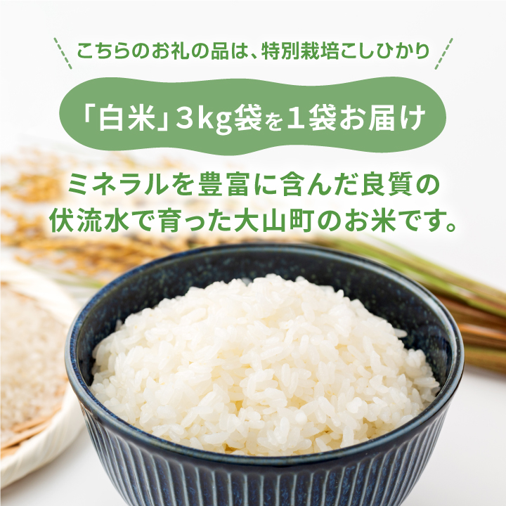MR-10　減農薬・減化学肥料　特別栽培米こしひかり　3kg（白米）減農薬・減化学肥料　特別栽培米こしひかり　3kg（白米）