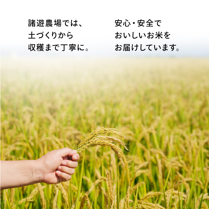 MR-20　諸遊農場のきぬむすめ10kg