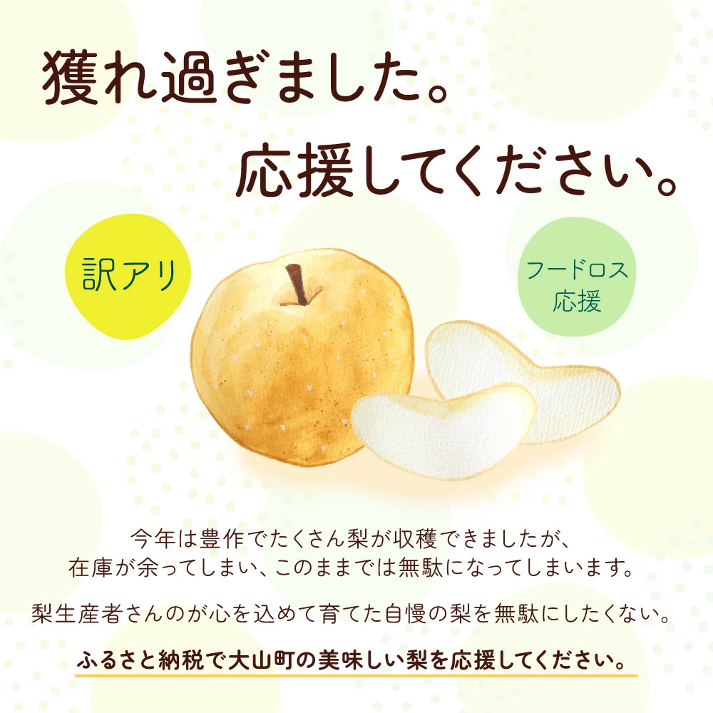 DS-22 訳あり大山町産梨 ５ｋｇ【品種はおまかせ】