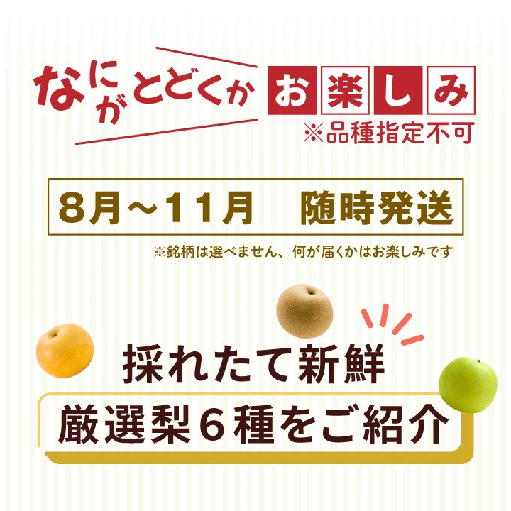 DS-26　大山の自然が育てた季節の梨 5kg