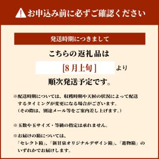 【先行予約】DS-01なつひめ梨（５ｋｇ）