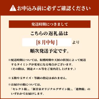 【先行予約】DS-03新甘泉梨（５ｋｇ）