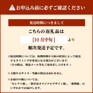 DS-08王秋梨（５ｋｇ）