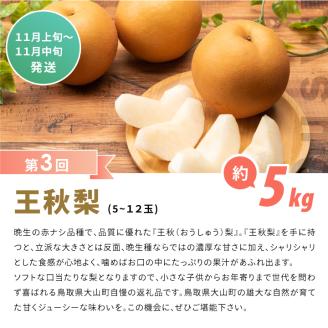 DS-11梨の食べ比べ頒布会