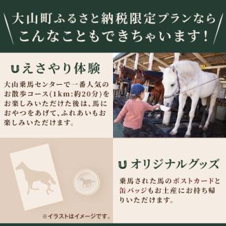 DJ-03　乗馬トレッキング「お散歩コース」ご利用券1名様　★馬のおやつとオリジナルグッズ付き