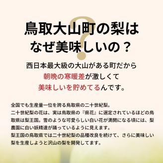 DS-25　訳あり梨10kg