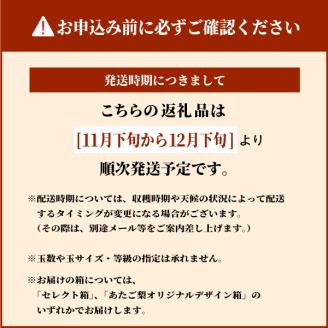 DS-10あたご梨（５ｋｇ）