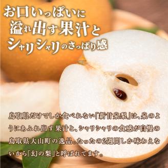 【先行予約】DS-15　新甘泉梨（しんかんせんなし）（３ｋｇ）
