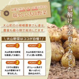 MS-02新鮮朝採れ野菜セット