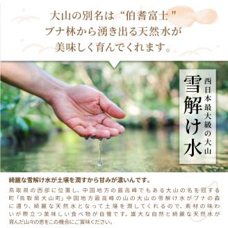 AS-09　星が綺麗な鳥取のお米「星空舞」　5kg