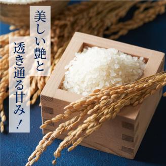 AS-10　星が綺麗な鳥取のお米「星空舞」　10kg