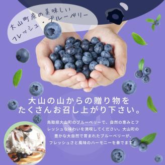 MS-32新鮮生ブルーベリー１ｋｇ（７月採れ）