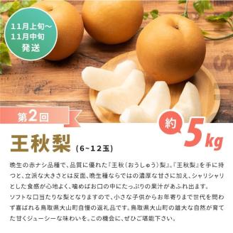 【先行予約】DS-23 梨食べ比べ定期便（2回コース）