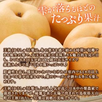 DS-09化粧箱入り王秋梨（３玉入り２ｋｇ）