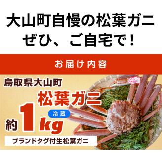 OM-26ブランドタグ付生松葉ガニ（特大約１ｋｇ）