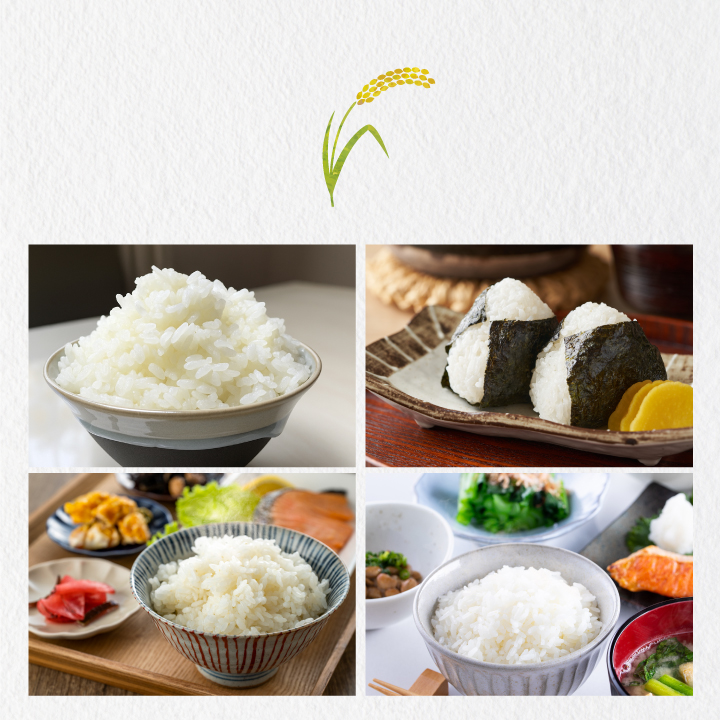 ON-01 大山岡田農園のにじのきらめき５kg