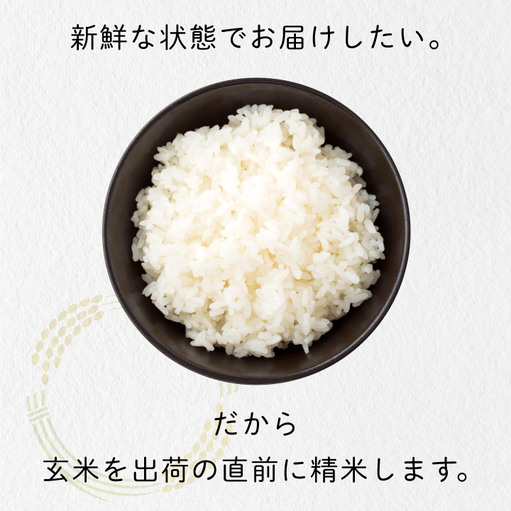 ON-02 大山岡田農園のにじのきらめき10kg